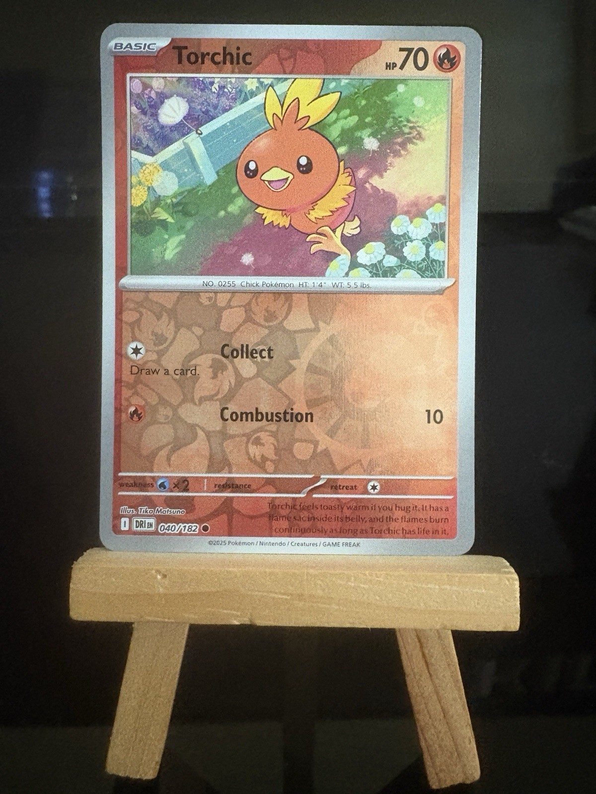 TORCHIC - 40/182 - Destined Rivals NM - Reverse Holo Common- Pokémon TCG Card