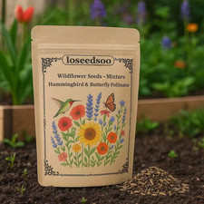 Wildflower Seeds Mix – 7500+ Non-GMO Flower Seeds for Planting, 1oz Bulk Pack... 334.88 per gallon