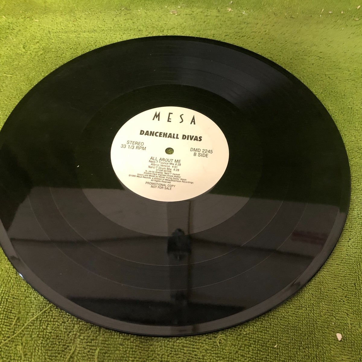 Dancehall Divas – Jamaican Man - 12