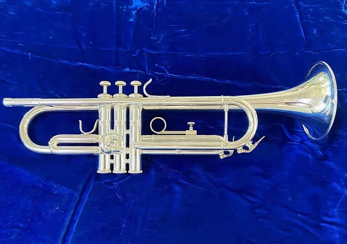 Carol brass instruments deals