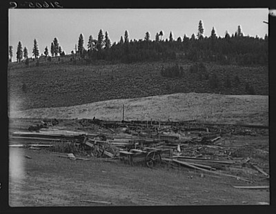 Tamarack,Adams County,Idaho,Farm Security Administration,Dorothea Lange,FSA 1