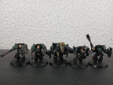 Wolf Guard Terminator Squad of 5x Lobos Espaciales Magnetizados Pintados Warhammer 40K