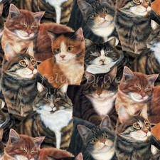 Feline Drive Fabric SEW CURIOUS Packed Cats - Fat Quarter 18"x22" FQ