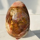 Natural Petrified Wood Egg Quartz Crystal Fossil Mineral 6460g — photo 9