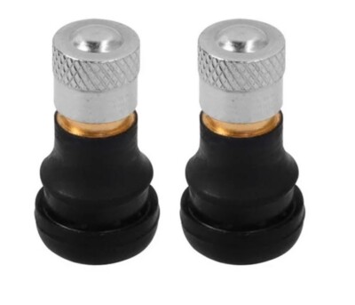 Segway Nine Bot Max G30 Electric Scooter for Tubeless-Air Valve Tires (2 Pieces)
