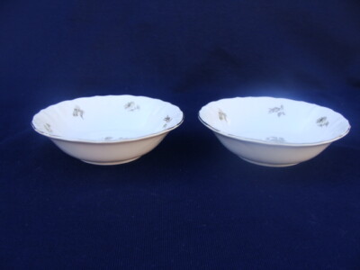 Winterling Bavaria Empress Platinum Pattern Schwarzenback 2 Dessert Berry Bowls