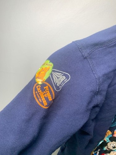 Disneyland Park Zip-Up Hoodie Embroidered - Kids Small - RARE - Splash Mountain - Picture 5 of 8