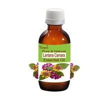 Lantana Camara Essential Oil   Herbal Fresh Aroma Natural, Bangota