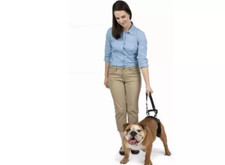 PetSafe CareLift Rear Support Harness Lifting Aid with Handle nd Shoulder Medium