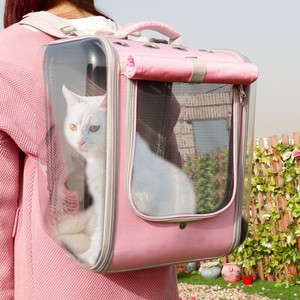 cat pack backpack
