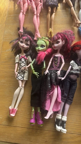 Monster High Muñecas Paquete x20 Accesorios Ropa Mascotas Figuras Raras - Imagen 8 de 21
