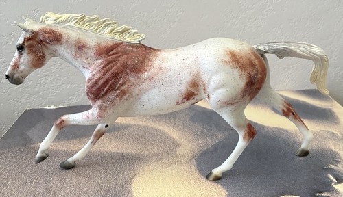 NEW CUSTOM Breyer Trad. "Bloody Shoulder" Fleabit Arabian-Thoroughbred Cross