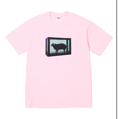 XXL Tee shirt rose suprême damien hirst