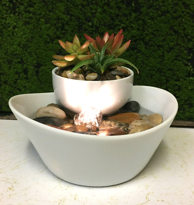Tranquility Tabletop Water Fountain With Live Succulents Zen FREE SHIPPING  #693 | eBay