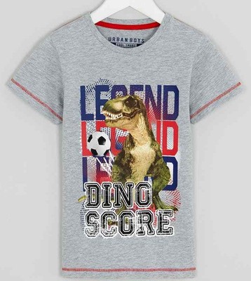 T Rex T shirt Tee Top Ages 