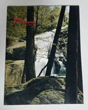 Wonderful West Virginia April 1978 Cheat River Webster Springs, New River Bridge