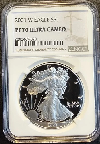 2001-W American Silver Eagle 1 Oz PF70 UCAM NGC Brown Label