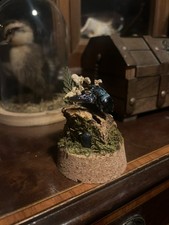 Blue Carpenter Bee Mid Flight With Matching Real Crystal In A Woodland Like Dome