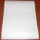 Foto 10 di 12