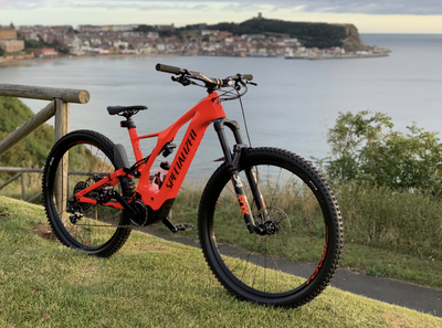 turbo levo carbon 2019