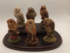 Royal Doulton Owls Set of Six with Wooden Base