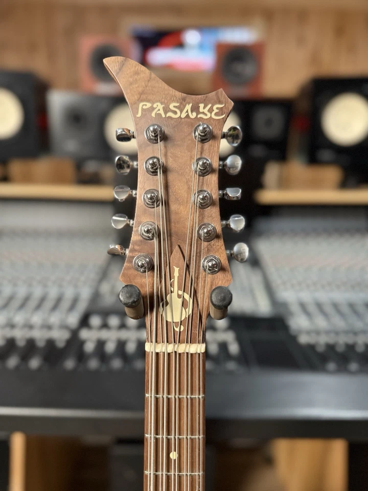 Pastilla Pasaye Bajoquinto Color Natural Con EMG Foto 3 de 4