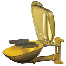 Bradley S19224pdcfw Plumbed Eyewash, Wall Mount, Plumbed, 14 2/3 In H., 15 1/2