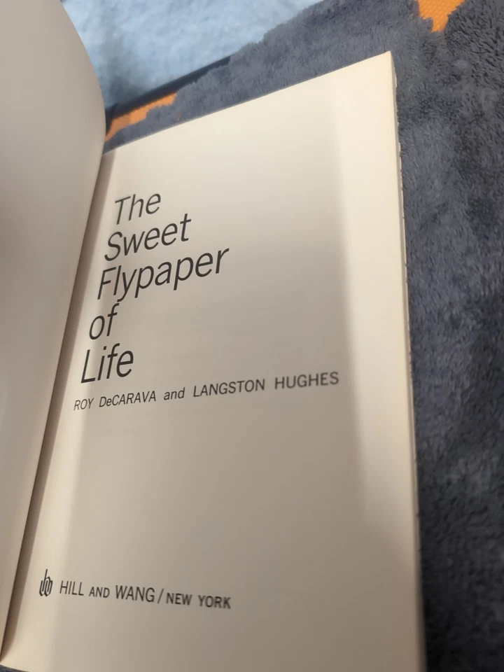 THE SWEET FLYPAPER OF LIFE Roy DeCarava & Langston Hughes 1st Hill and Wang PB Foto 3 de 4