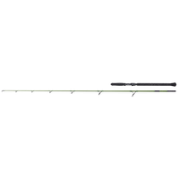 "Dam Madcat Green Spin 10'1\" / 3,05M 40-150G Welsspinnrute Waller Spinnrute"