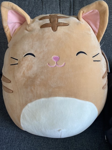 Squishmallows Nathan Tabby Cat 16 inch Plush Toy - Brown for sale online | eBay