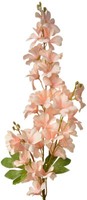 Clayre & Eef 5PL0135LP Dekoration Zweig Mit Blumen Rosa 16X12X100 Cm