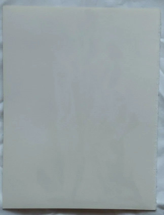 Andre Masson Hommage a Dorothea Tanning para XXe Siècle 1977 Foto 4 de 4