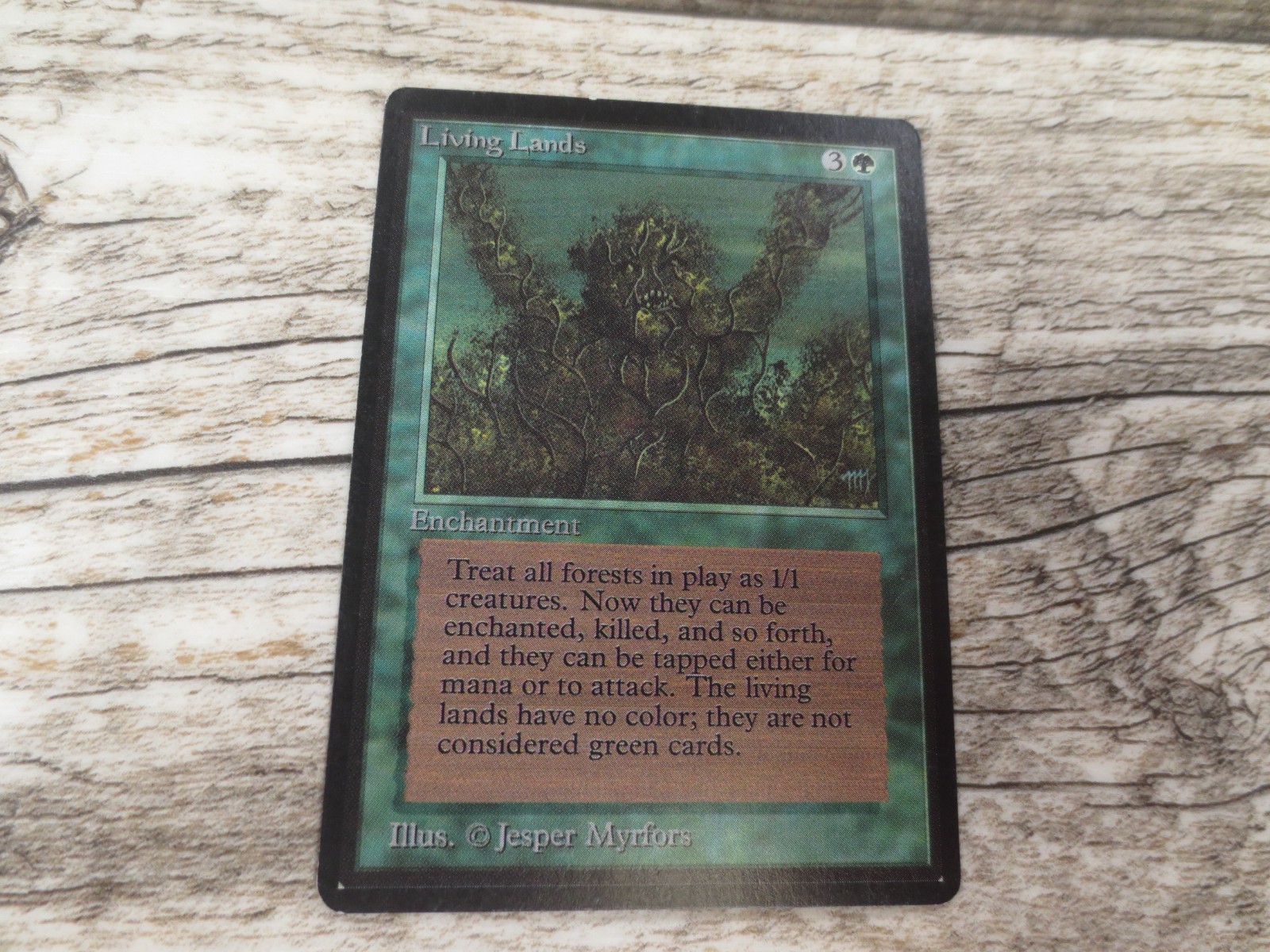 Magic The Gathering MTG Living Lands Beta Limited Edition LP Excellent Ungraded
