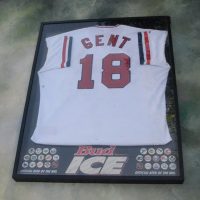 1995 Anheuser Busch Bud ICE Framed Sign 35''X27''.