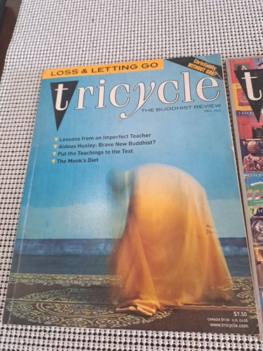 TRICYCLE Buddhist Review Fall & Winter from 2003 Loss & Letting Go, 50th Issue! - Picture 3 of 16