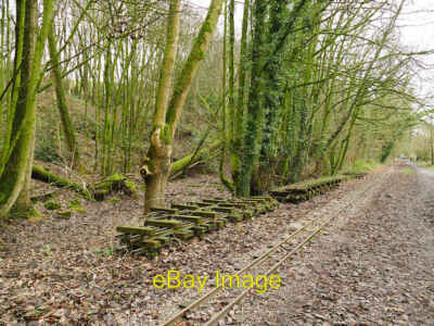 Foto 6x4 altes Gleis vom LRR Harper's Gate The railway must have rela c2018