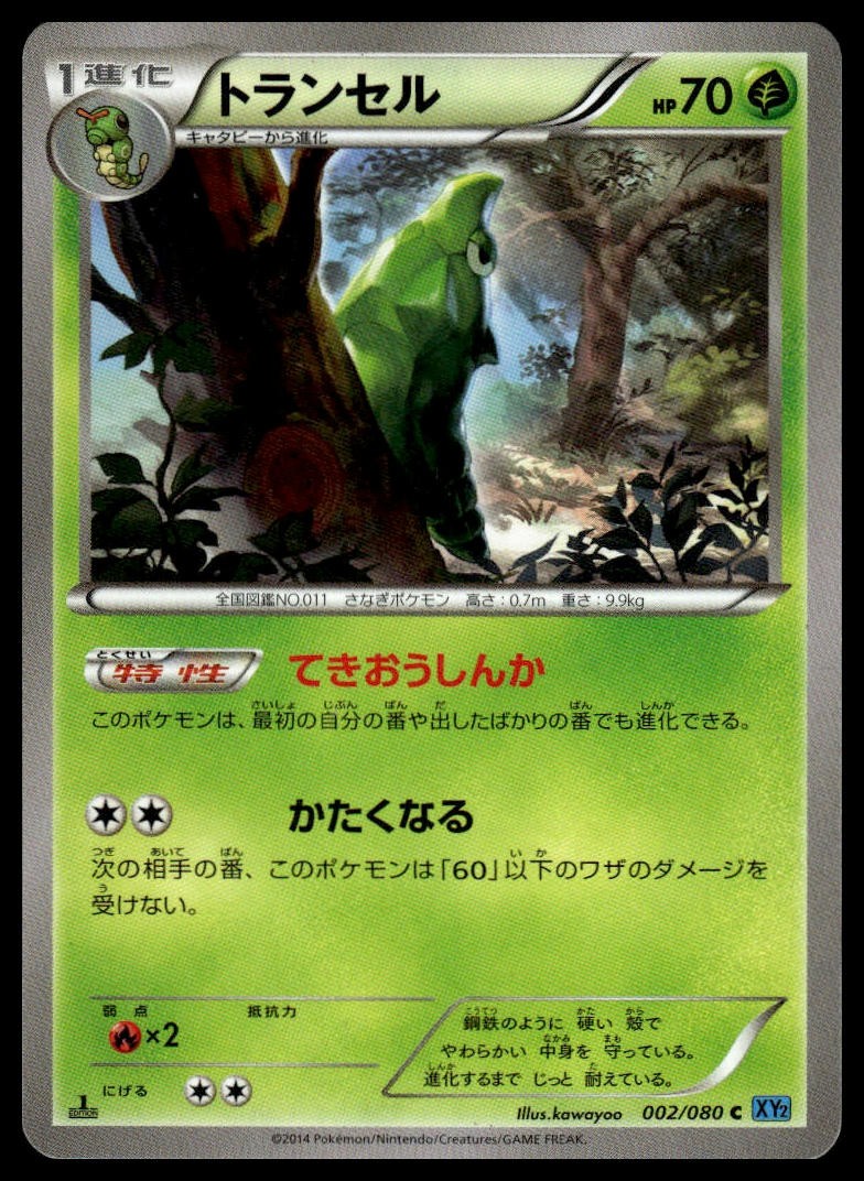Metapod Common XY2: Wild Blaze 002/080 NM