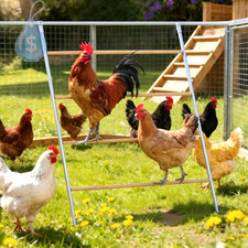 Chicken Roosting Bars, 55" Metal Perch for Coop, Backyard Poultry Toys