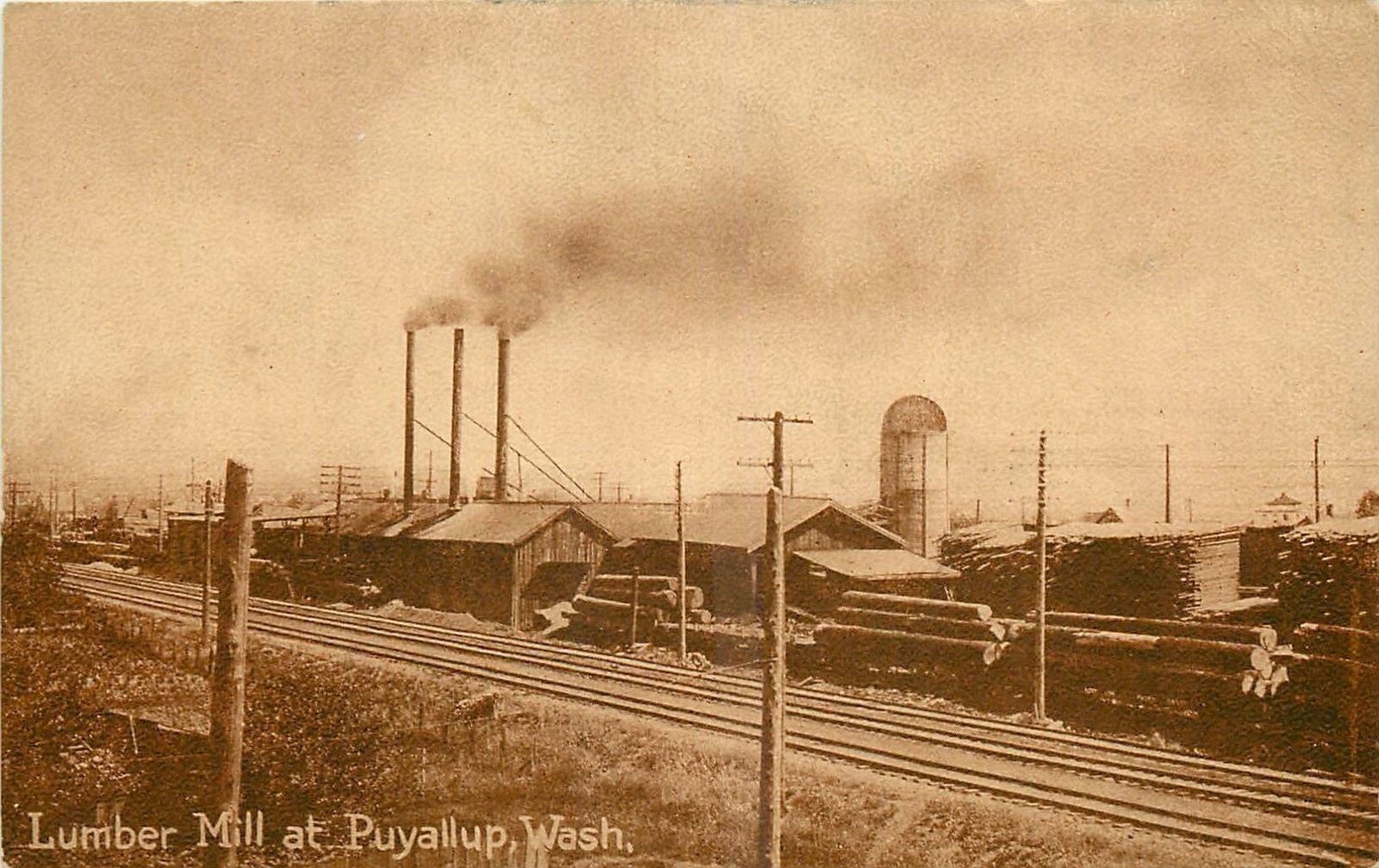 c1910 Puyallup Washington Lumber Mill occupation PNC Postcard 25-9299