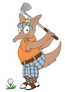 Aardvark Golf Deals | eBay Stores