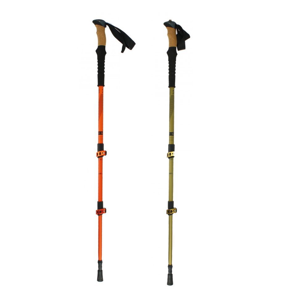 Bâton de marche Elementerre Apagado avec système de réglage speed lock en aluminium noir