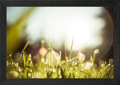 Morgentau Gras gerahmtes Wandbild Poster Leinwanddruck Bild