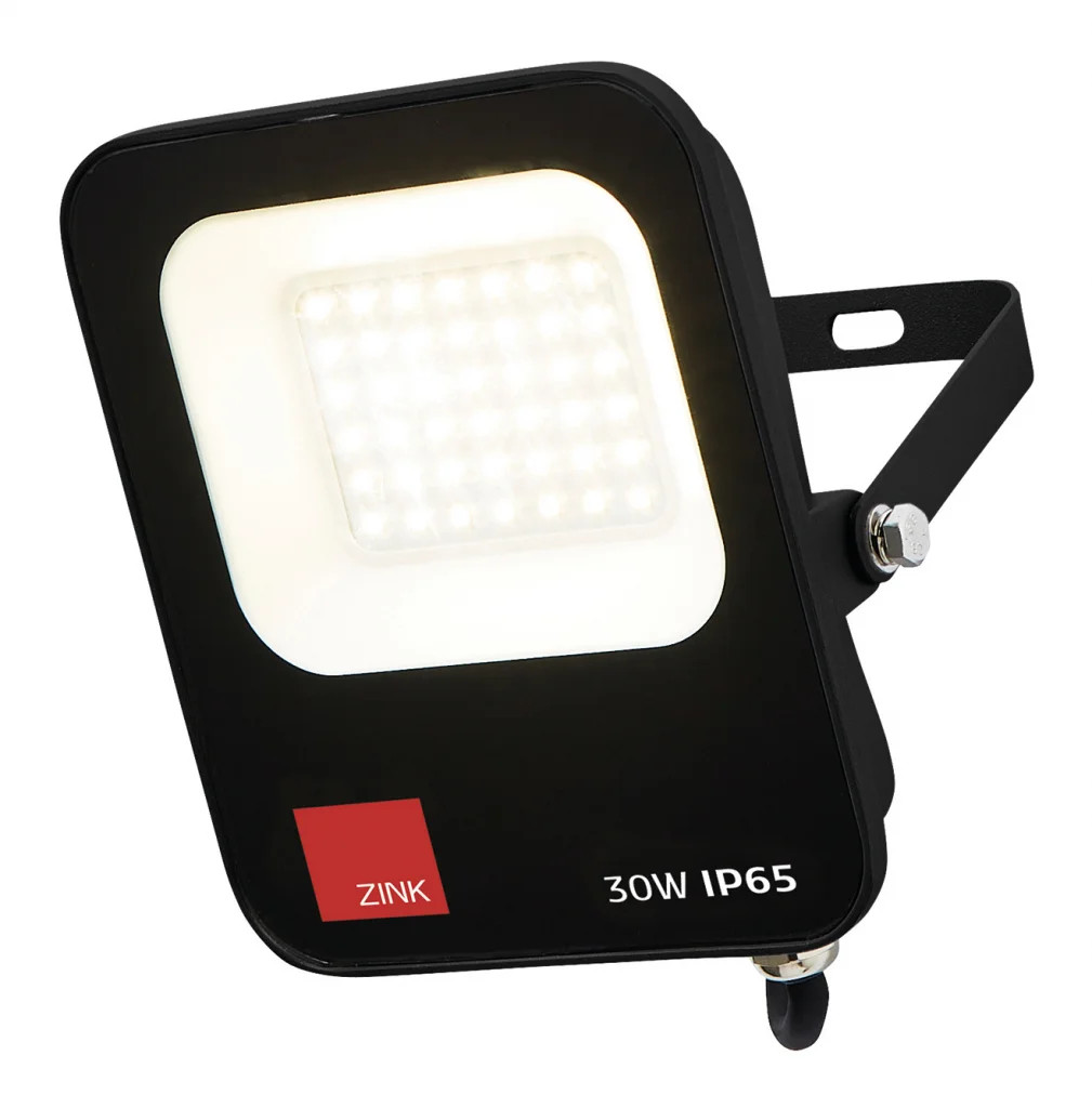 Outdoor Light Black Reina 30w LED Floodlight IP65 1600lm 6500K Daylight White