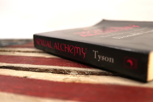 Sexual Alchemy by Donald Tyson (2000, Trade Paperback) - Picture 3 of 4