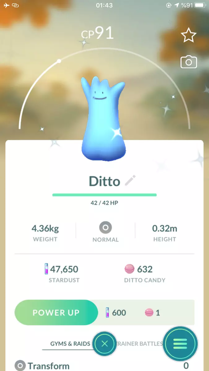 Shiny Ditto 