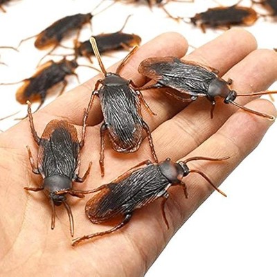 Ksquares Prank Fake Roaches, Favorite Trick Joke Toys Look Real, 5 PCS, Brown 