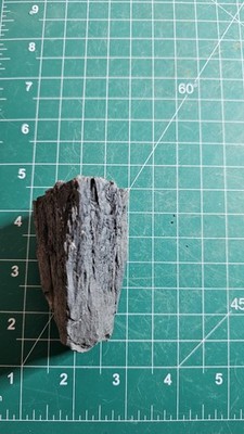 Rare Formation  Cone In Coal