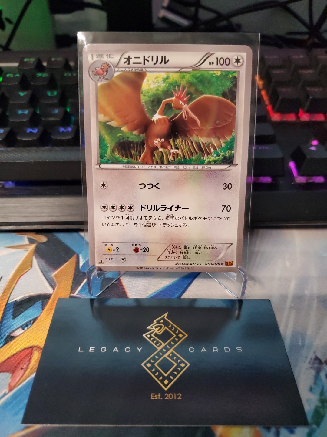 (Japanese)Fearow 053/078 C - XY6 Emerald Break 1st Edition - Pokémon TCG (NM)