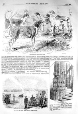 Alter antiker Druck 1856 Royal Staghounds Hunde Captain Disney Westminster 19.