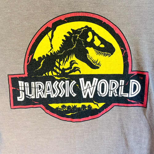 Kids Jurassic World Dinosaur Logo Print Grey T-shirt Size 10 - Picture 2 of 4